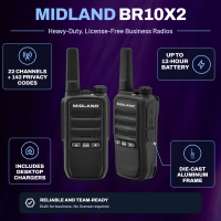 br10x2-infographic.png