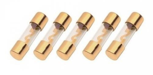 60 Amp AGU Fuses - 5 Pack